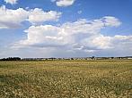 Císařov