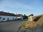 Třibřichy
