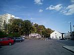 Borovina