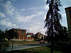 Borovina
