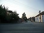Třibřichy