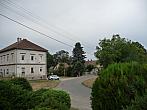 Třibřichy