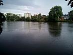 Borovina