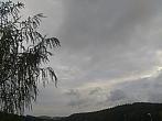 Zajíčkov