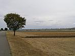 Dobromilice