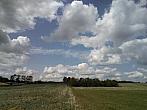 Luže