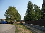 Třibřichy
