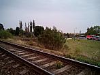 Borovina
