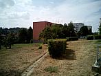 Borovina