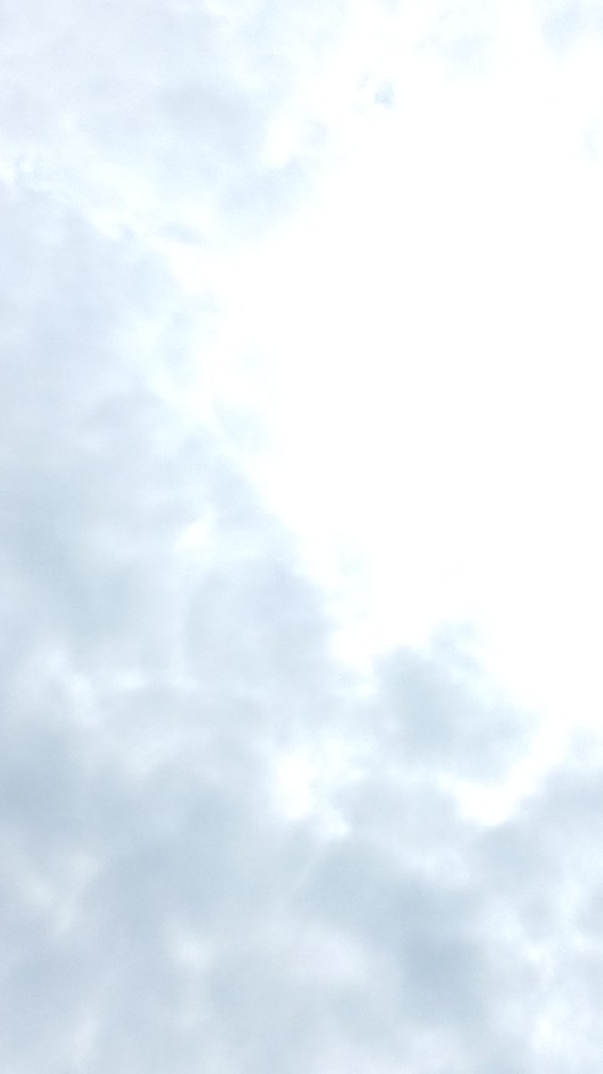 Růžďka