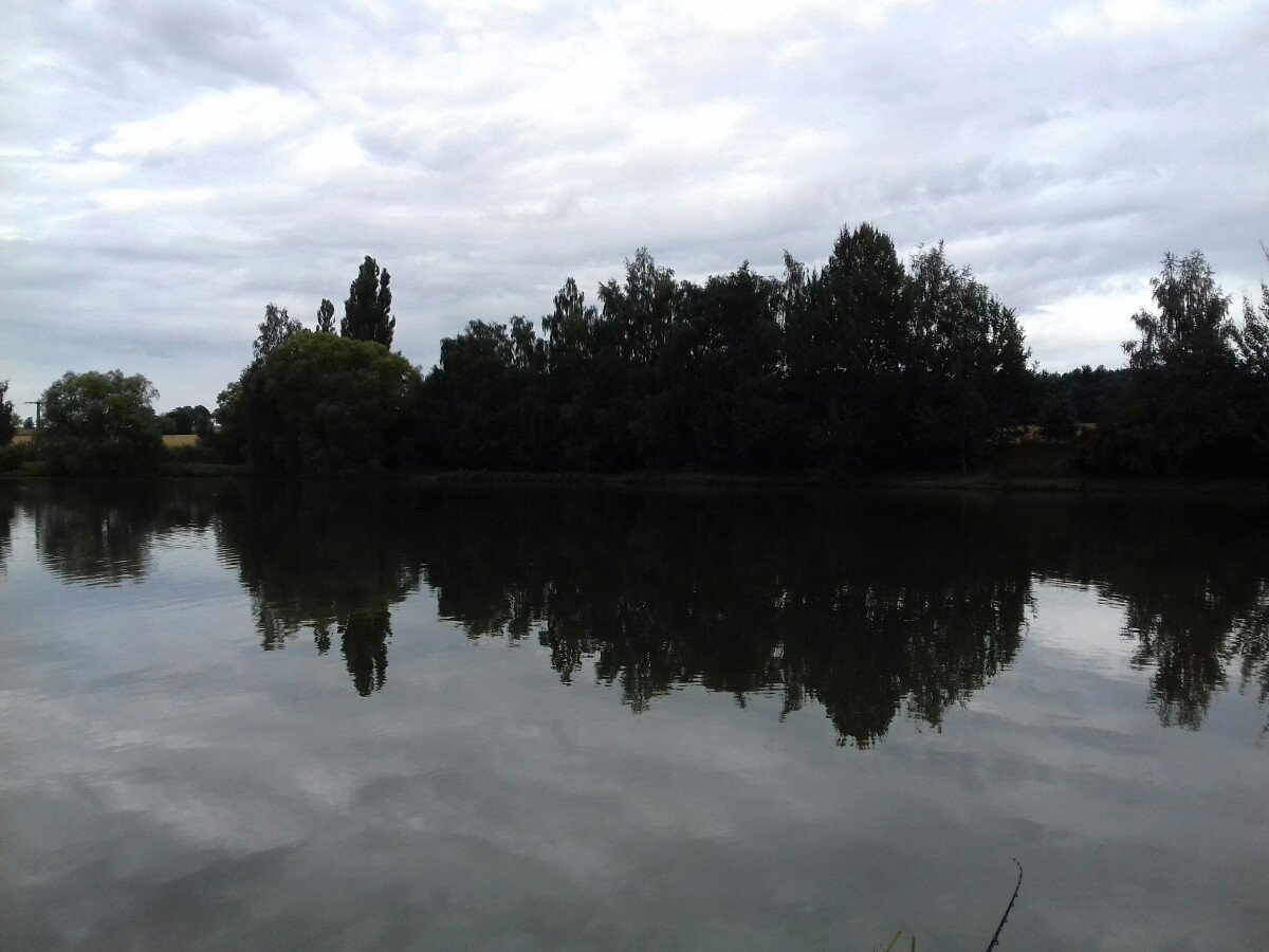 Polná