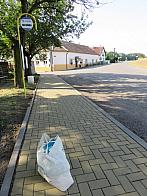 Třibřichy