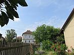 Třibřichy
