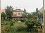 Třibřichy