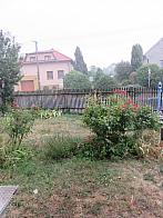 Třibřichy