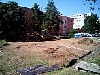 Borovina