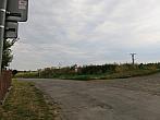 Třibřichy