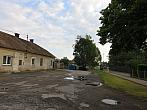 Třibřichy