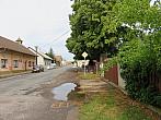 Třibřichy
