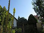 Třibřichy
