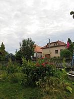 Třibřichy