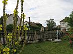 Třibřichy