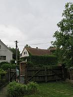 Třibřichy