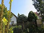 Třibřichy