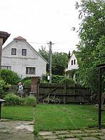 Třibřichy