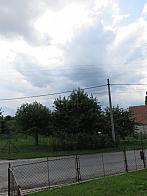 Třibřichy