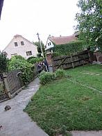Třibřichy