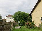 Třibřichy