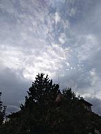 Pacov