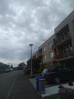 Pacov