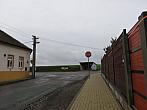 Třibřichy