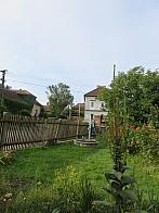 Třibřichy