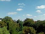 Hořice - Libonice