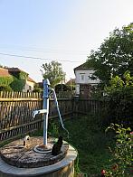 Třibřichy
