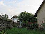Třibřichy