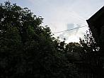 Třibřichy