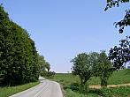 Dobromilice