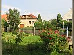Třibřichy