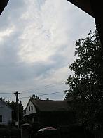 Třibřichy