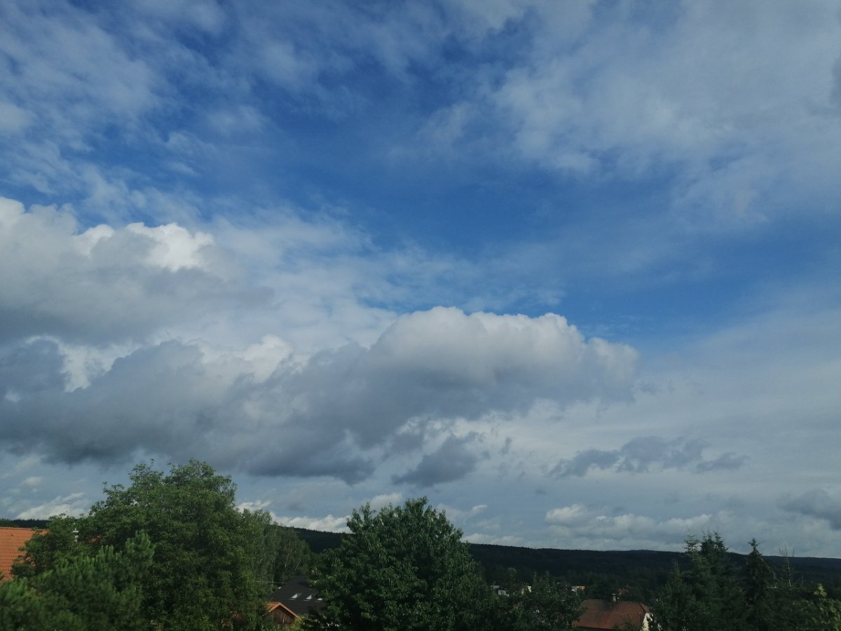 Dýšina
