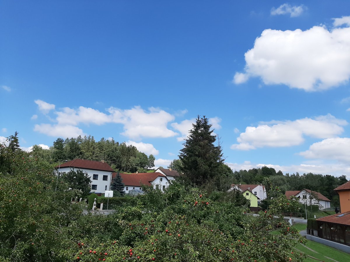 Olešná