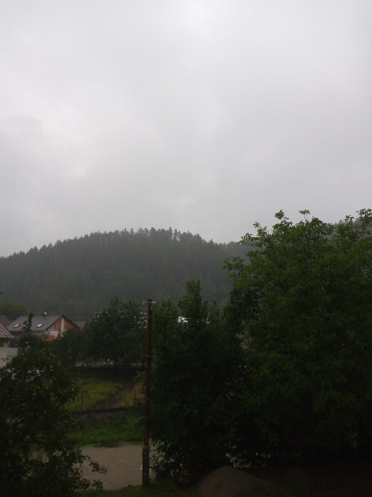 Hvozdnica