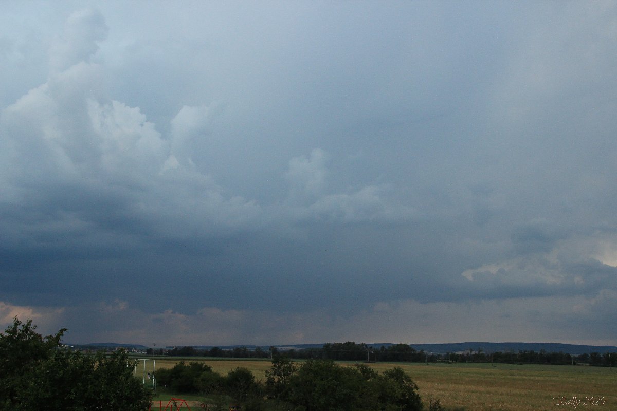 Odrovice