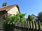Třibřichy