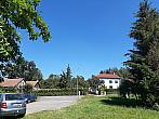 Olešná