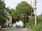 Neratovice